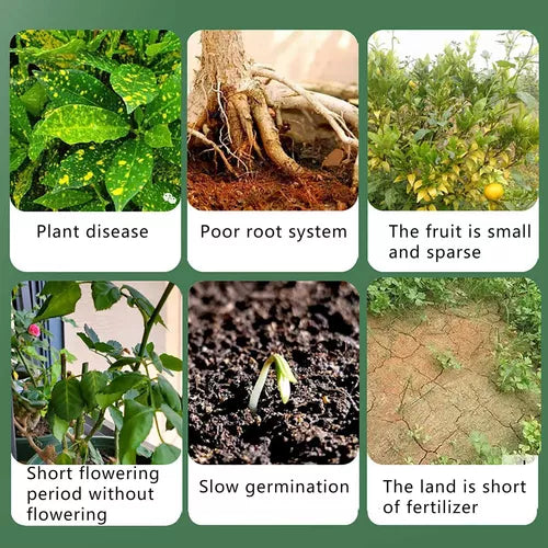 SUPLEMENTO DE CRECIMIENTO PARA LAS PLANTAS ⭐⭐⭐⭐⭐
